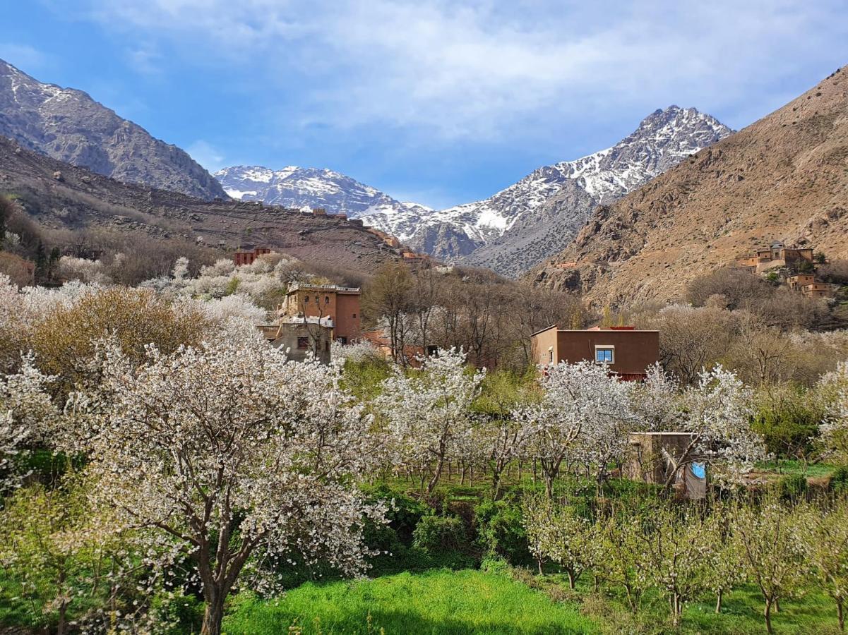 Dar Assarou - Toubkal National Park Lodge Imlil  Exterior photo